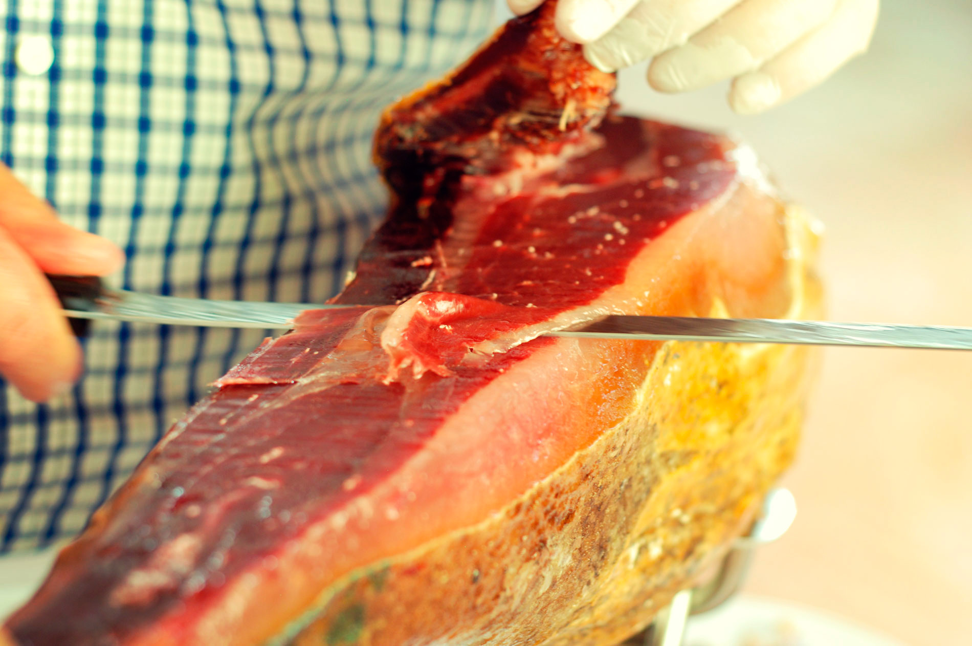 Gastro 10 Tolerancia